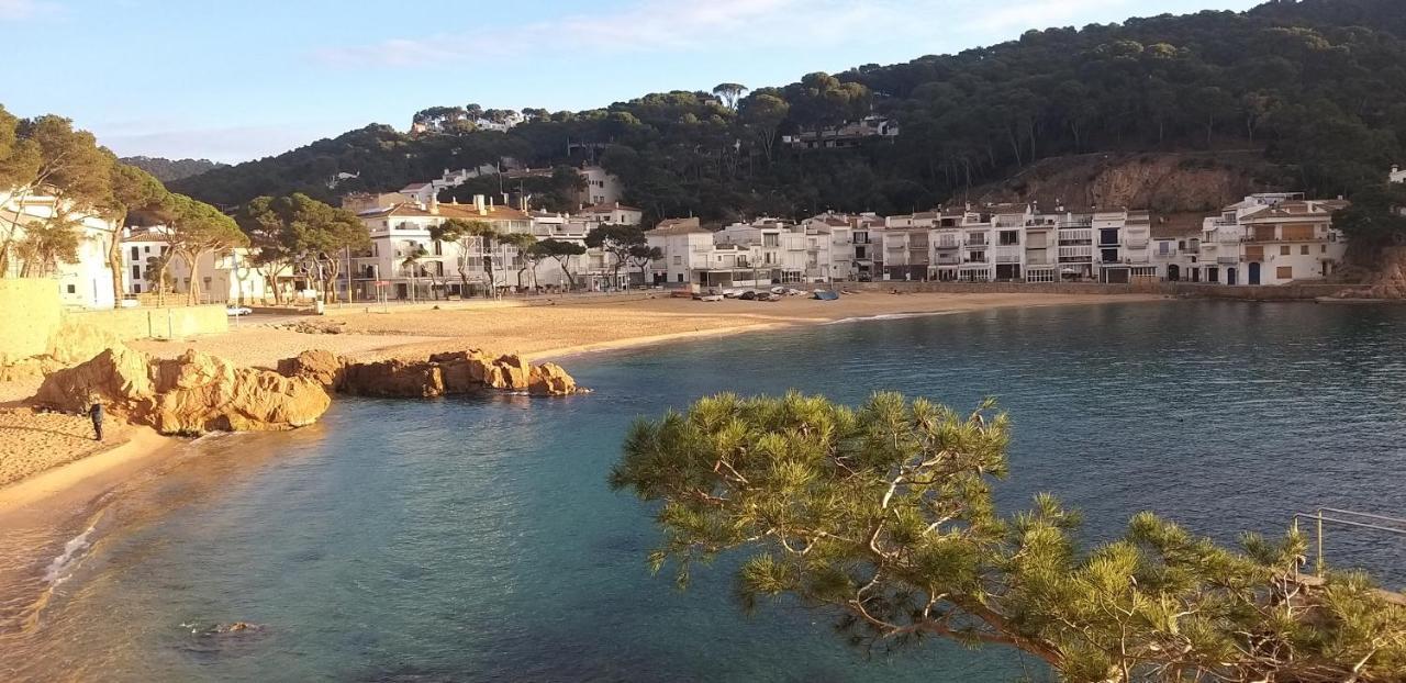 Precioso Con Piscina En Apartament Tamariu